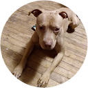 Ronald Micheau profile picture