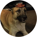 Jay Mowery profile picture