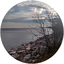 Shay Dahlgren profile picture