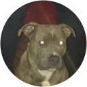 p c profile picture