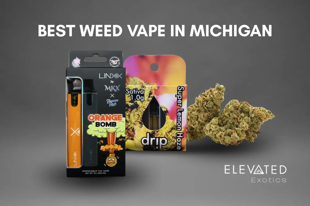 low price vape device Different Types of Vapes - How Many Are There?